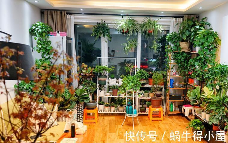 花卉|入秋后养花，这4个层面没有顾及到，生长旺期的植物一样会黄叶