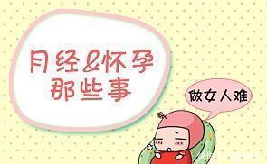 雌激素|月经是生育能力的晴雨表,有月经才能怀孕,是这样吗