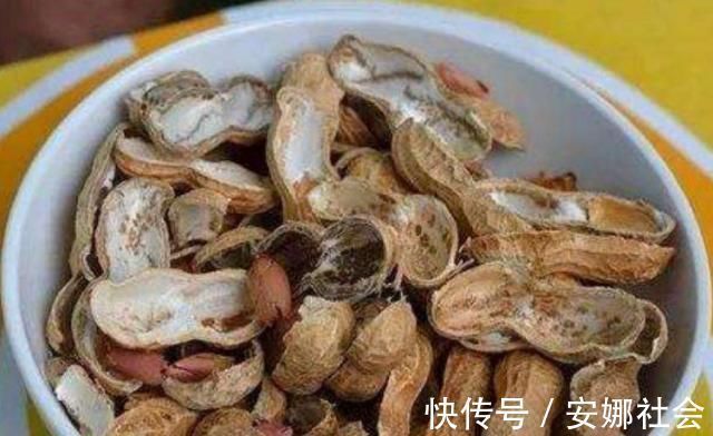 花盆里放这“4种料,”叶子越长越肥,土壤不板结,花开一朵朵