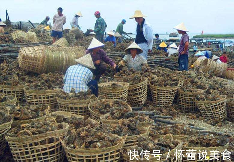 南方成筐便宜卖, 北方想吃没地买, 越吃越爱吃