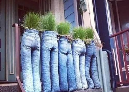 养花|除了花盆之外,这些东西也是绝佳的养花神器,你用过吗?