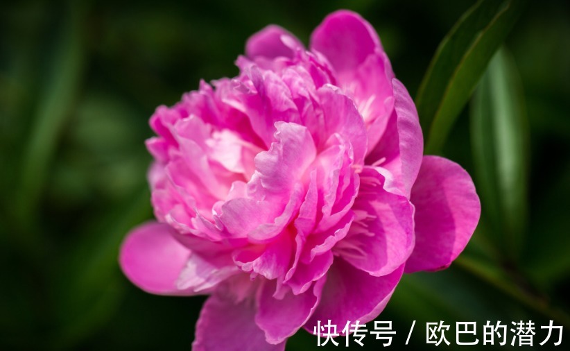 |12月,4个星座,幽默乐观,去哪都是欢声笑语,让人喜欢,桃花旺