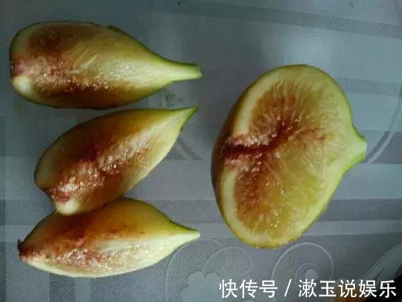 花友|这种水果枝条阳台一插,1年就挂果,果实太多压弯枝!