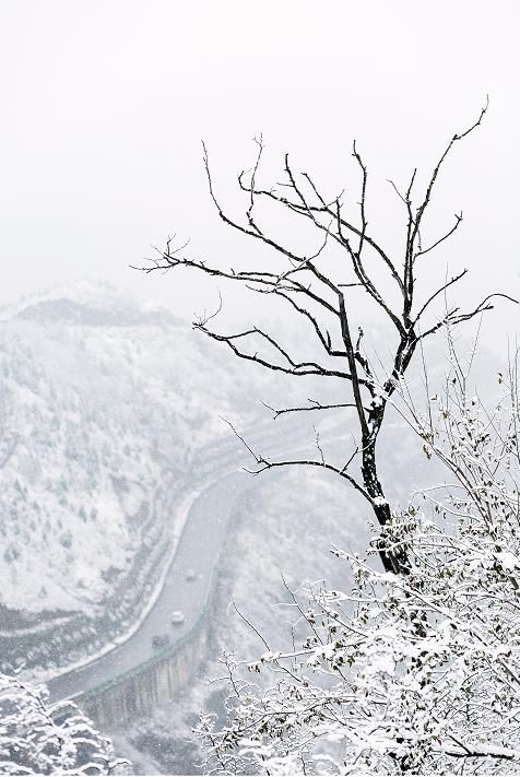 终究|终究是雪，温润了临潼的时光——