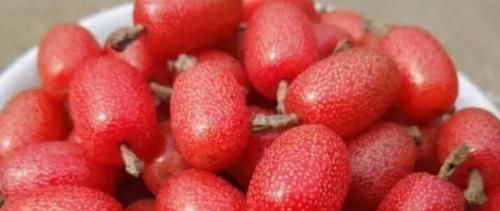 好食物吃出好身体，推荐3种食物，延缓衰老，保护眼睛，好吃不贵