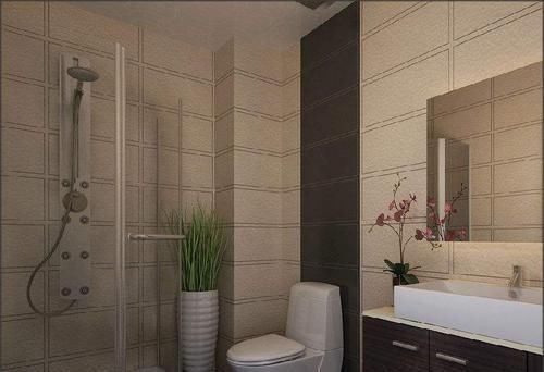 厕所里养花,把潮气毒气都吸走了,身体好皮肤好