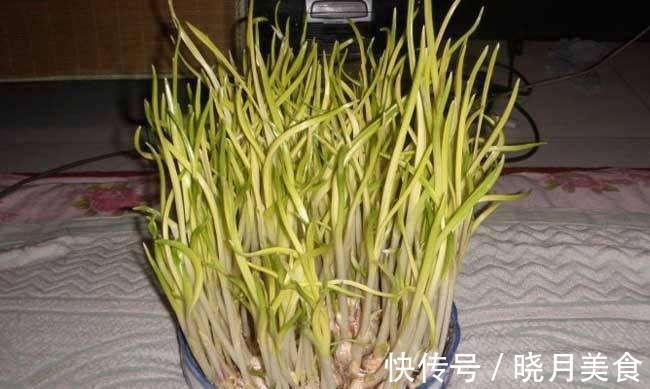 7种“蔬菜”冬天种,0度冻不死,吃一茬冒一茬,连续吃半年