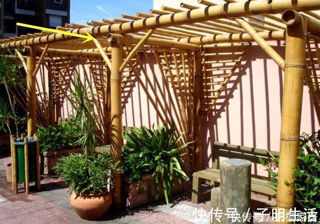 竹子|要是你也有个院子，那就这样设计砍几根竹子撑起一个廊架，闲适
