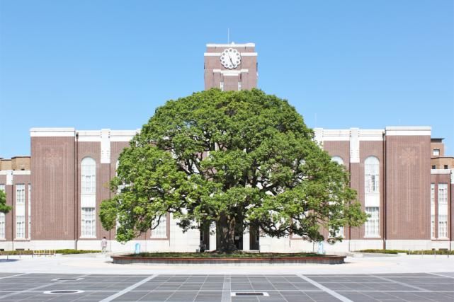 日本大学校徽背后的含义，你知道几个？