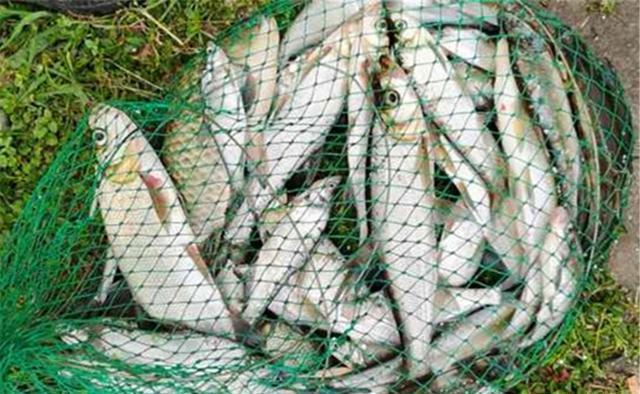 大跑|钓大鱼,铅坠下移钓跑铅,拉小鱼,铅坠上移钓飞铅,动铅坠好处多