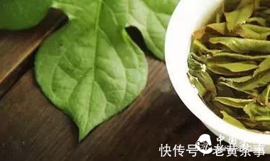 茶叶|中医从药理，谈茶的功效