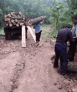 |搞笑GIF趣图:这么可爱的妹子,没想到还是个逗比