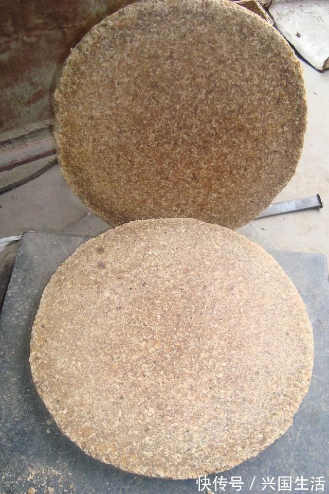 养花有必要加“底肥”吗老花匠教你这样做,植物根系又粗又壮