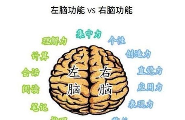 孩子|6岁之前是右脑开发关键期，做好3件事，孩子一天比一天聪明