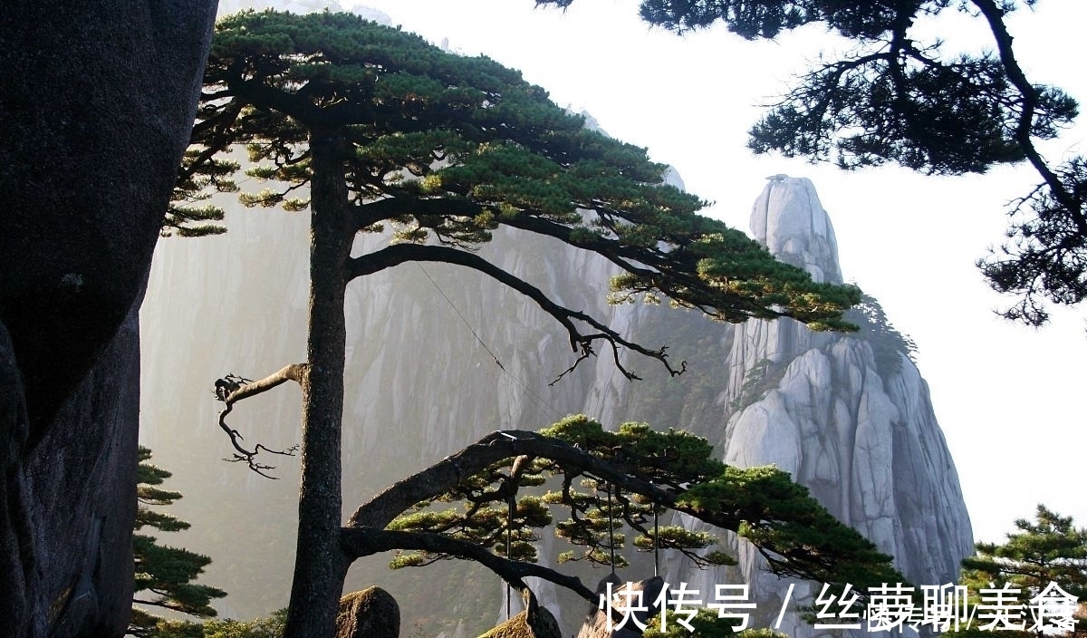 清新脱俗#十首隐士古诗词:香风不动松花老,白云遍地无人扫