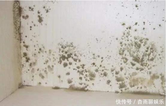 污渍|墙面污渍、发霉不易清理,掌握4点小技巧,墙面光洁如新