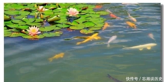 死囚牢$上联“地中取土,加三点以成池”,囚犯对出下联,免遭一死