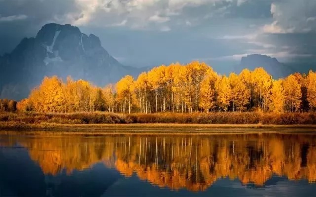 世一堂糖肽：人间最美，是清秋