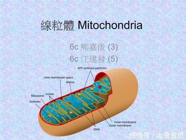 毒药 不只是氧气，雄激素或许也是一种“慢性毒药”