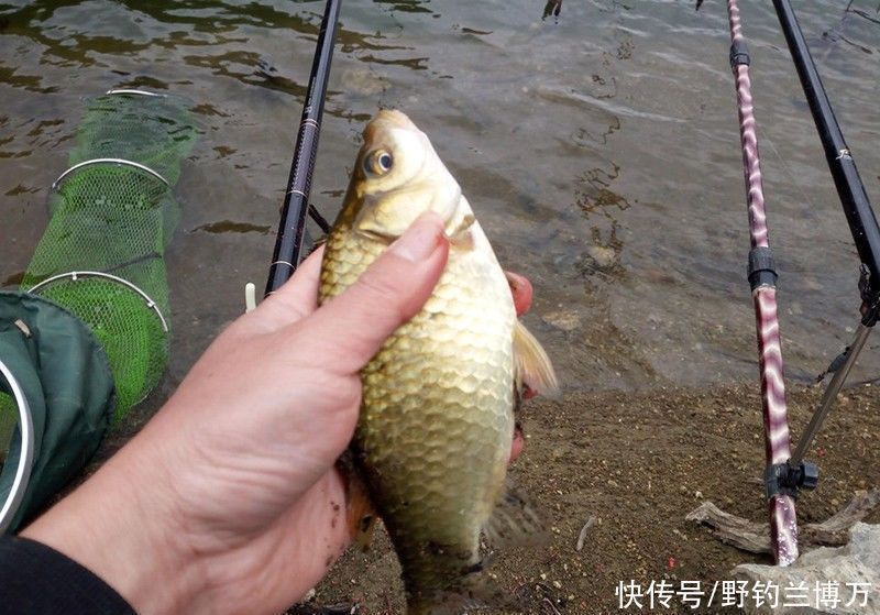 一次意外,让我不再独自外出钓鱼!过来人告诫:钓鱼得先保证安全