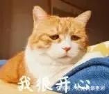 病人|“我就啃了俩苹果……”病人一句话把医生搞疯,哈哈哈哈哈