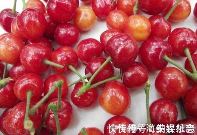 孕妇们|怀孕后,3种东西孕妇尽量多吃,能有效补充叶酸量,帮助宝宝发育