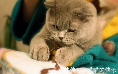 |幽默笑话:问老公说:亲爱的,为啥当初相亲一眼就看上我呐