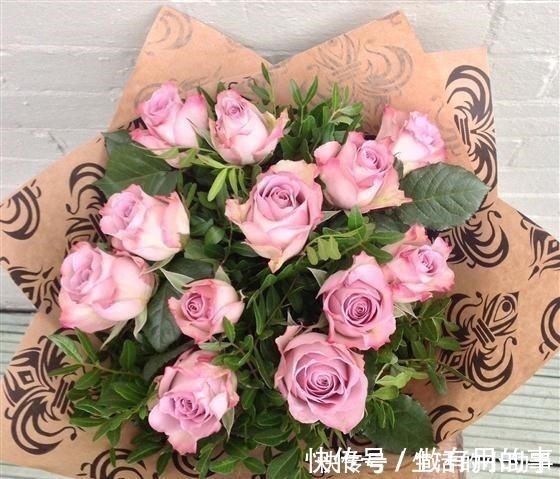 25款包子型月季,花开永不败,大花好养又丰花,新手推荐种植!