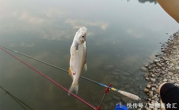 钓鱼技巧:钓行程钓法的操作要点,学会这招,多种鱼情都能应付