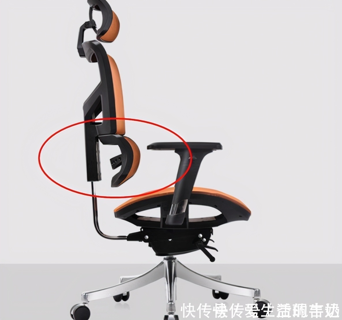 铝合金|科普｜如何选购一把好的人体工学椅，拒绝肩周炎、颈椎病、腰椎病