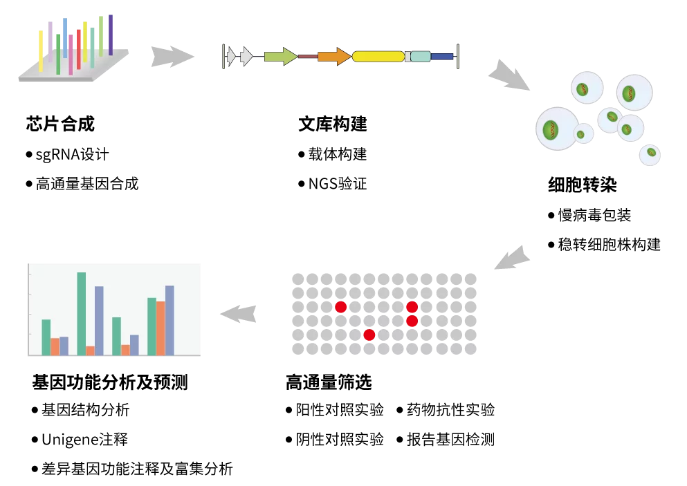 CRRSPR/Cas9基因敲除系统之sgRNA设计(图2)