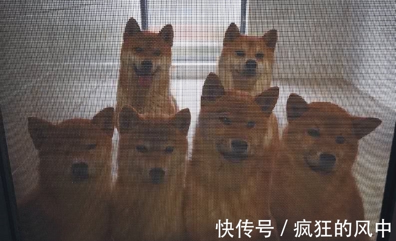 新成员|《向往的生活》路透，何炅黄磊彭昱畅进村，四位“新成员”引瞩目