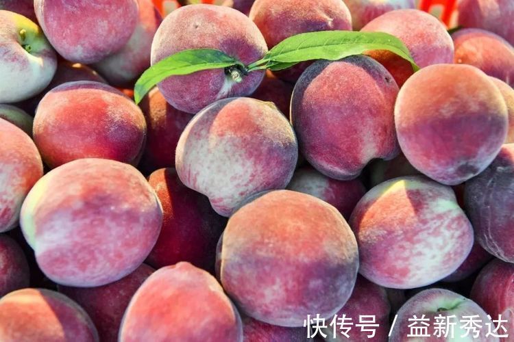 美容养颜|长寿老人爱吃3种食物,美容养颜、延缓衰老,身体棒棒哒!