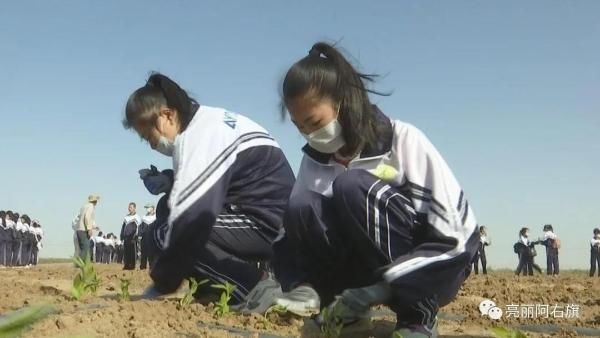 活动|阿右旗中小学生“多彩劳动 健康成长”劳动实践教育活动暨中小学生劳动实践教育基地揭牌