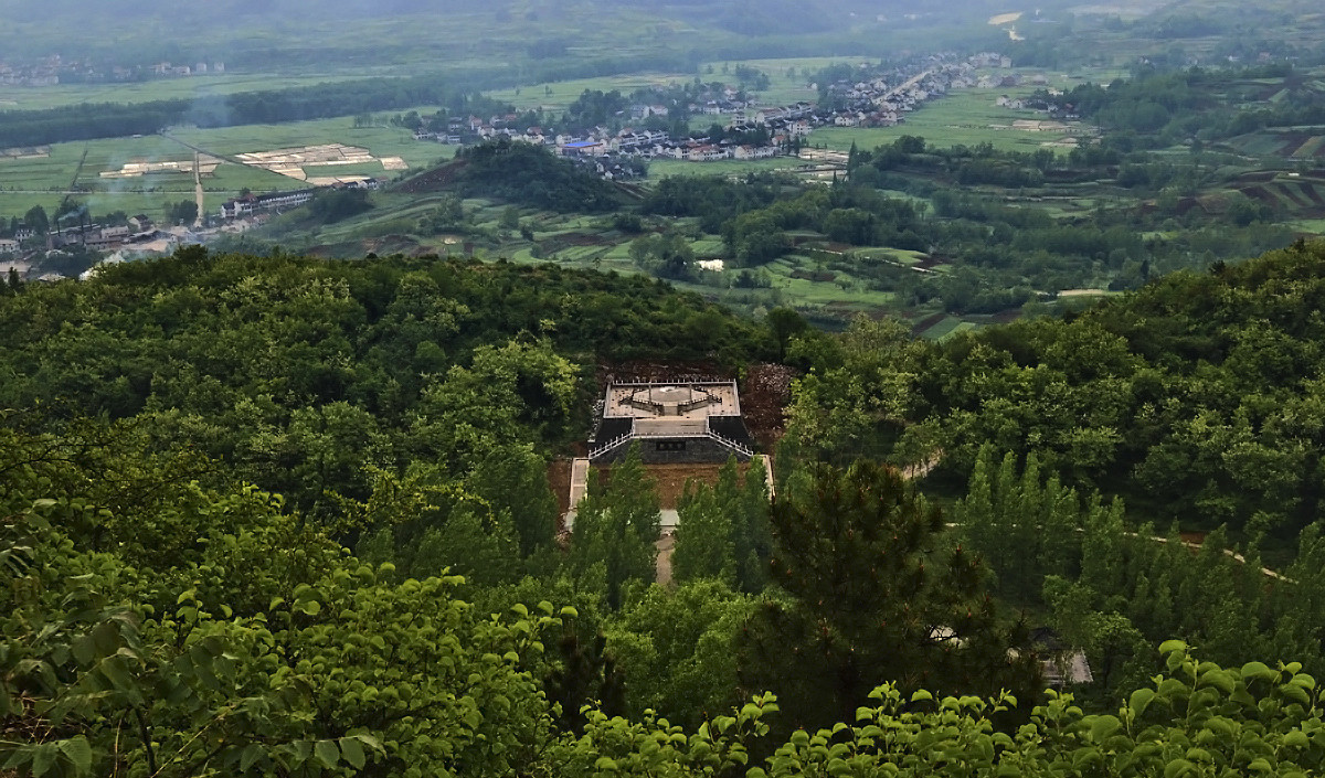 绝迹|定军山一战成名，可是“军山狐”却因此遭殃，目前基本绝迹了