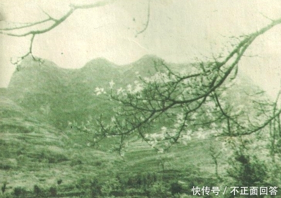 神态|老照片70年代的长江巫山十二峰神态各异风景秀丽