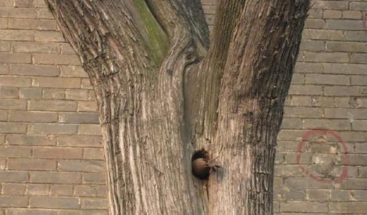 神圣|中国有个地方,很神圣,日本连打13炮全都哑火,日军怕了