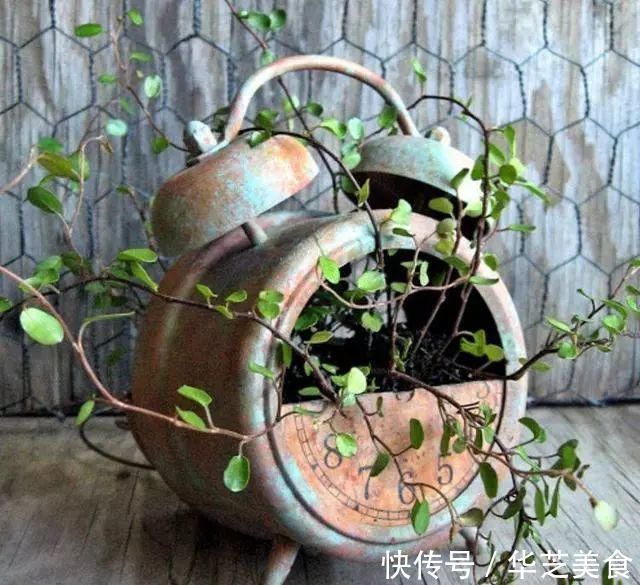 鞋子|她把家里的旧鞋子、茶壶用来种花，卖300一个邻居抢着要！