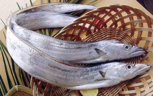 买带鱼时,“黑眼睛”和“黄眼睛”哪个好?弄懂再买,少花冤枉钱