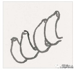 教程@图文教程——芭蕉画法