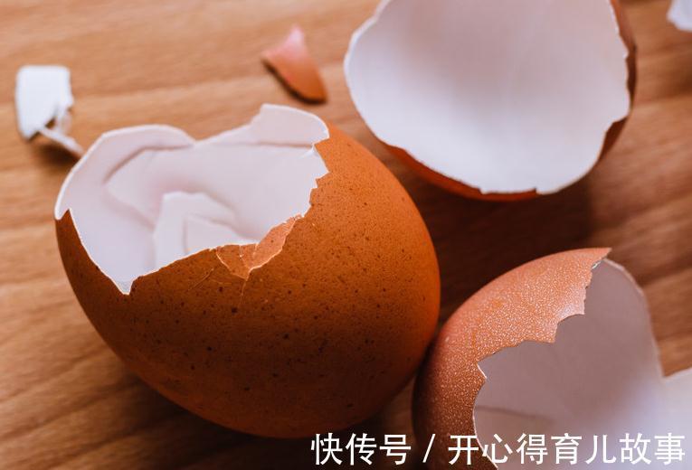 植物烂根怎么办，学会这些就不用担心了