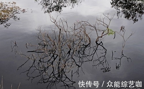 亚马逊|世界上最大的热带雨林，面积超过大半个中国，号称“地球之肺”