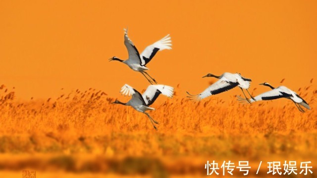 易学大师#一个人,若能悟透《易经》中的这三条“天机”,今后必成大器