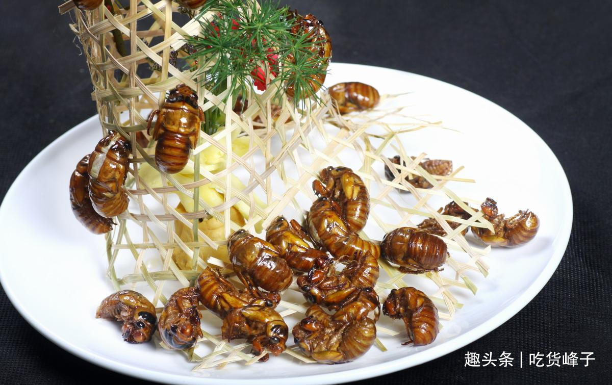 知了|地下蛰伏5年,知了能吃吗吃了对身体有何危害为了健康别再吃错