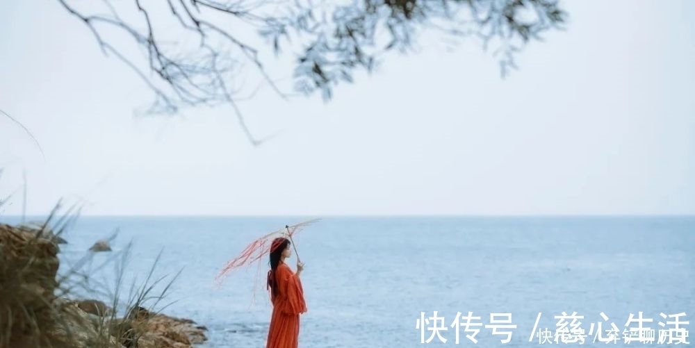 菜根谭|识不足则多虑,威不足则多怒,信不足则多言,理不足则多辩