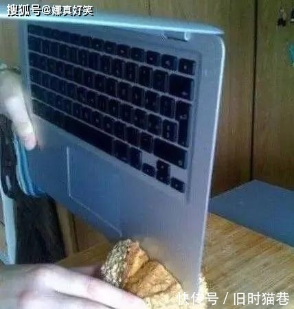 |搞笑GIF：这才叫招蜂引蝶