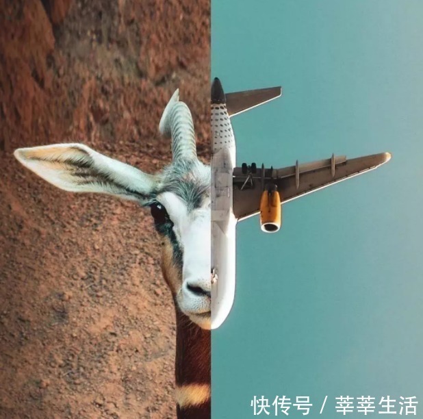 画板@这位好“色”的艺术家,拿大自然当画板,引11万人“想入非非”!