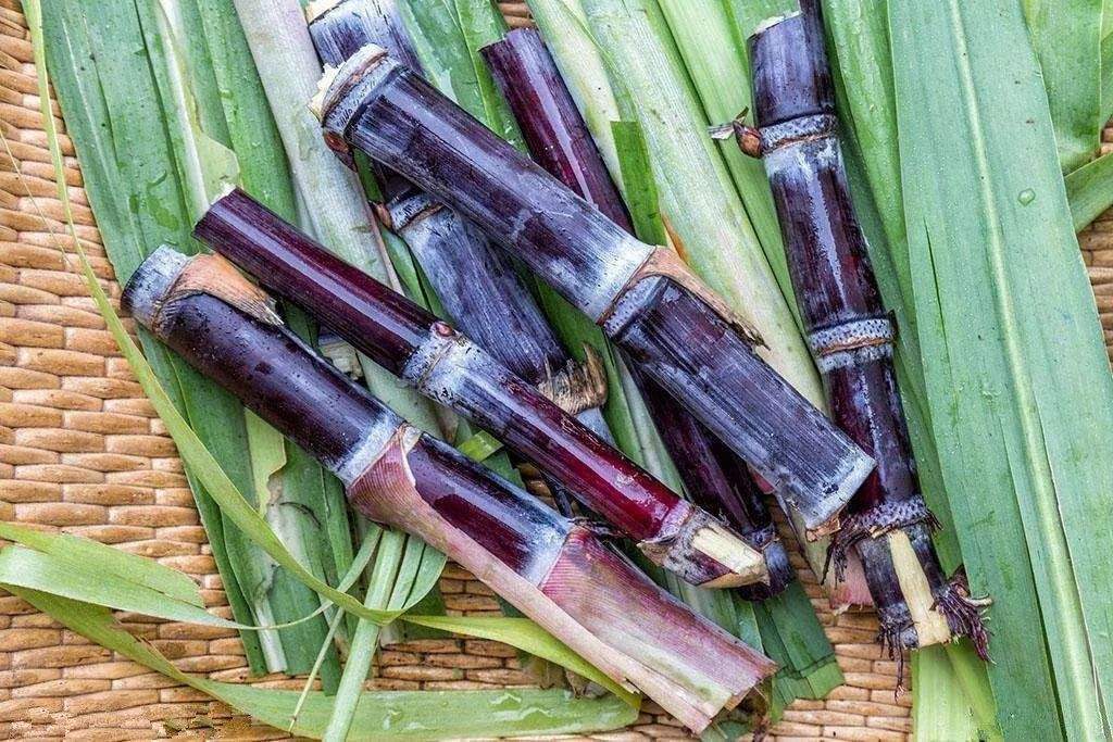 秘密|中医圈子疯传的2张茶方,和胃生津,老中医一辈子不得癌的秘密!