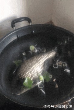 |搞笑GIF趣图：有趣的灵魂碰撞出生活的火花！你想起了谁呢？