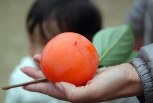 姨妈|女性经期期间，5种水果最好少碰，尤其第4种，小心姨妈“生气”！